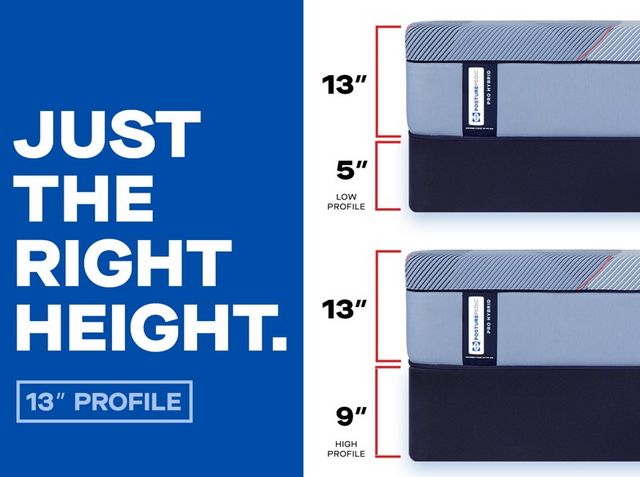 Dupont Firm Hybrid Mattress by Sealy®