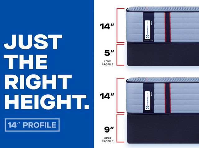 Dupont Medium Mattress by Sealy®