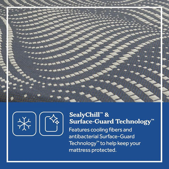 Albany Posturepedic Plus Firm Foam Mattress by Sealy